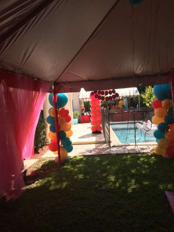 Fashionable Elena Of Avalor Birthday Party - Birthday ...